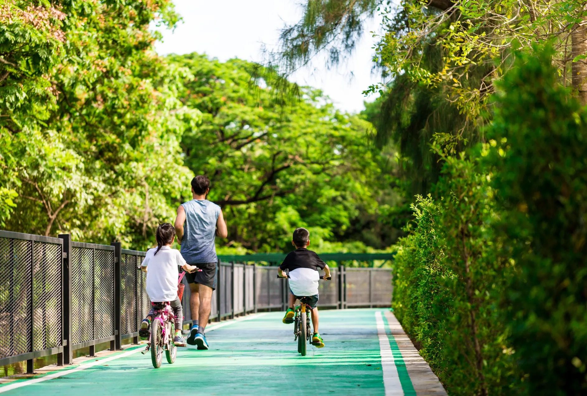 Sobha Reserve, Wadi Al Safa, Dubailand, Dubai